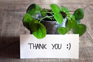 13 Ways to Say “Thank You” in Spanish Like a Native Speaker